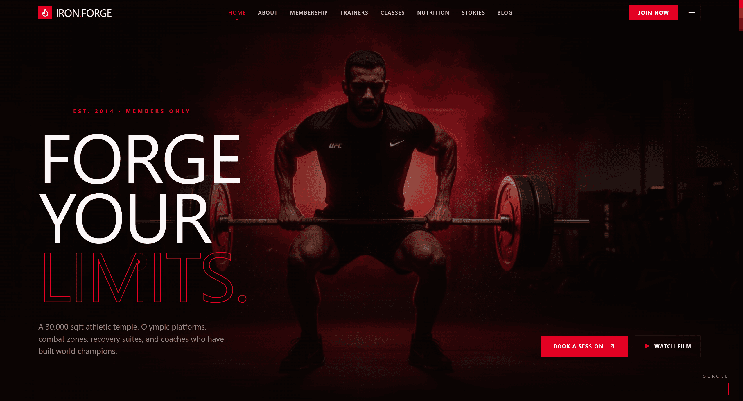 Iron Gym